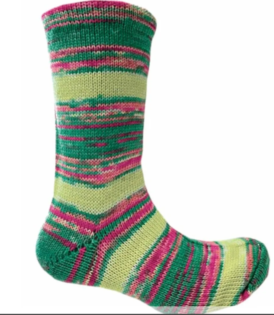 Berroco Sox