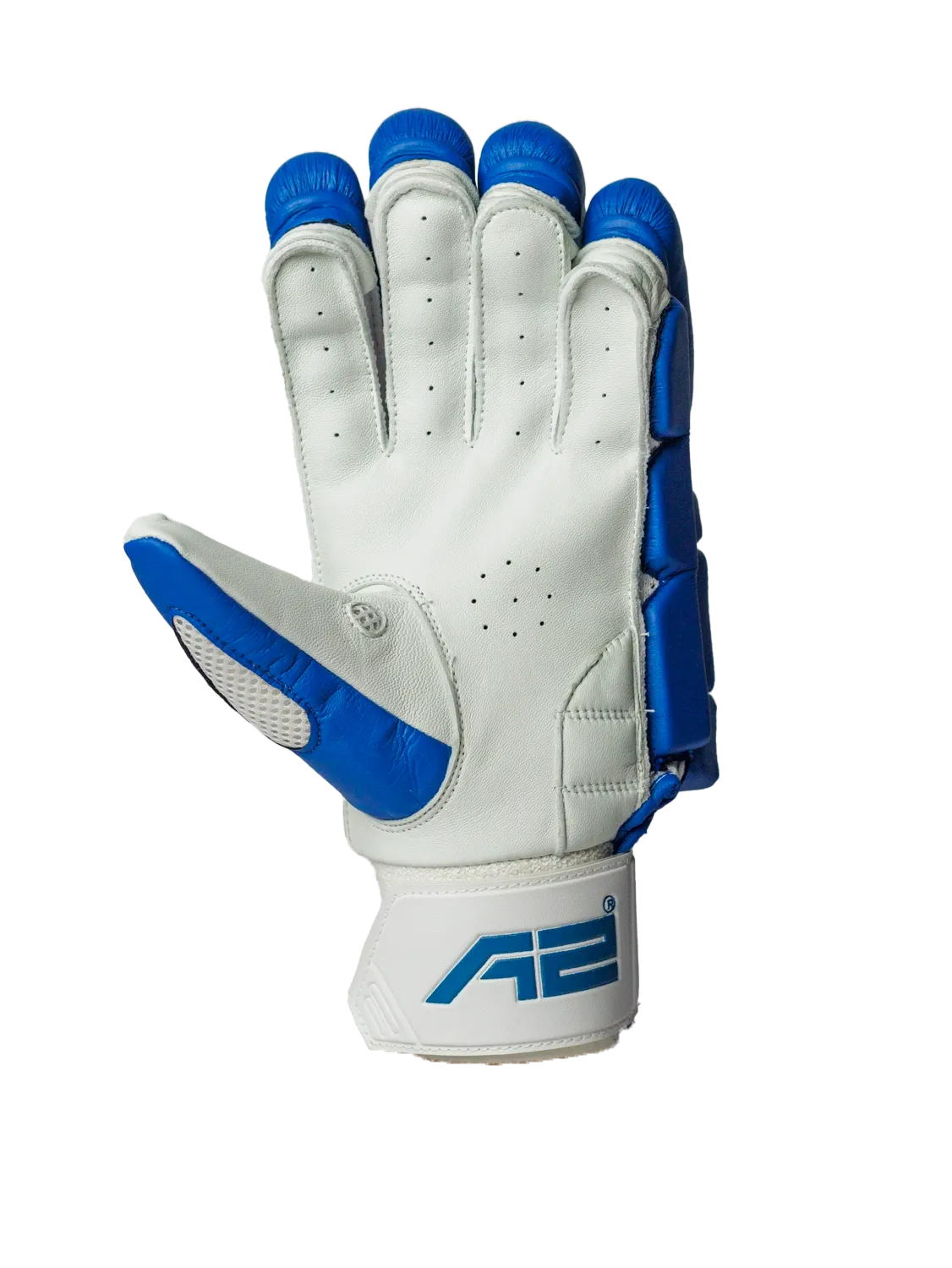 Cricket Batting Gloves - Blue & Red