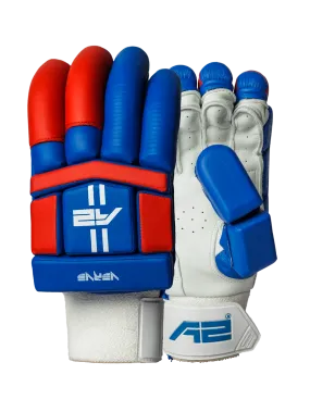 Cricket Batting Gloves - Blue & Red