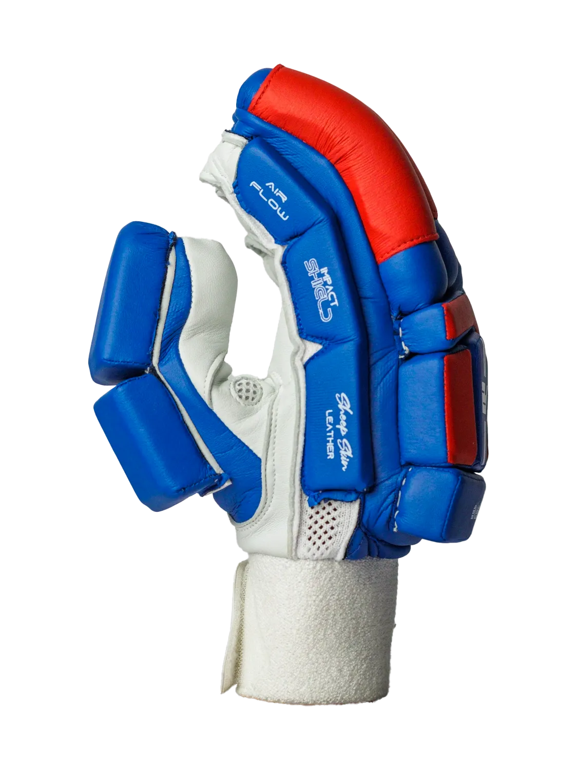 Cricket Batting Gloves - Blue & Red