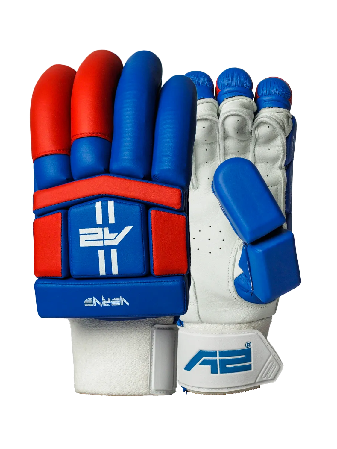Cricket Batting Gloves - Blue & Red